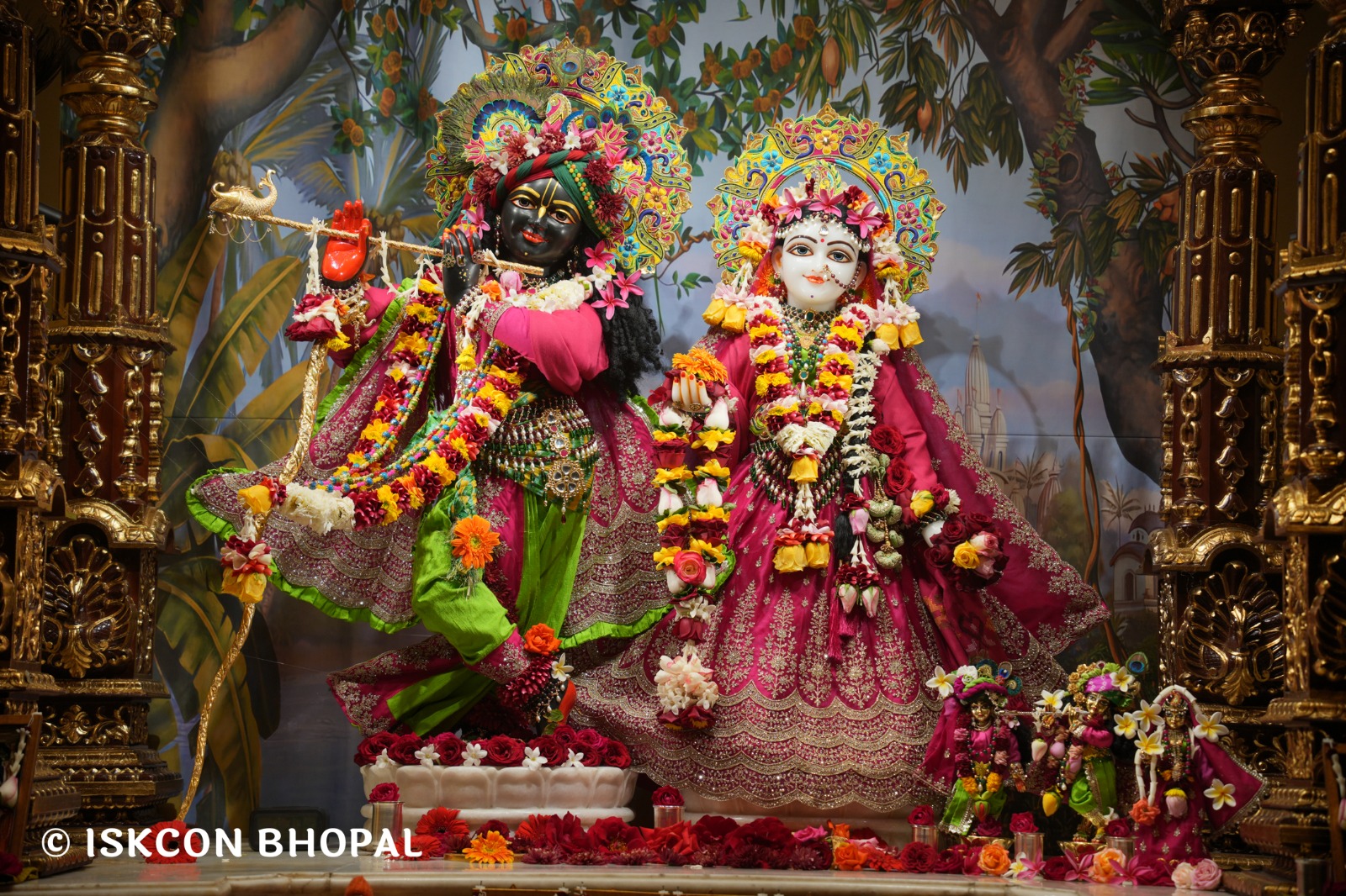 WhatsApp Image 2026-01-24 at 7.45.08 AM (1)