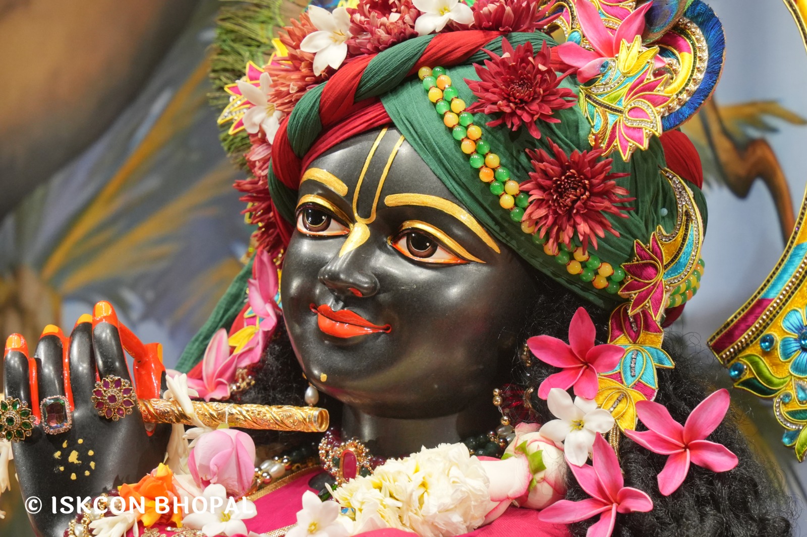 WhatsApp Image 2026-01-24 at 7.45.08 AM (2)