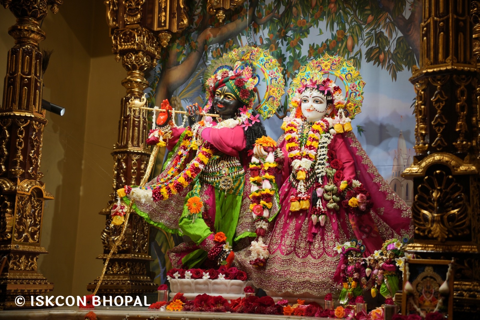 WhatsApp Image 2026-01-24 at 7.45.08 AM (3)