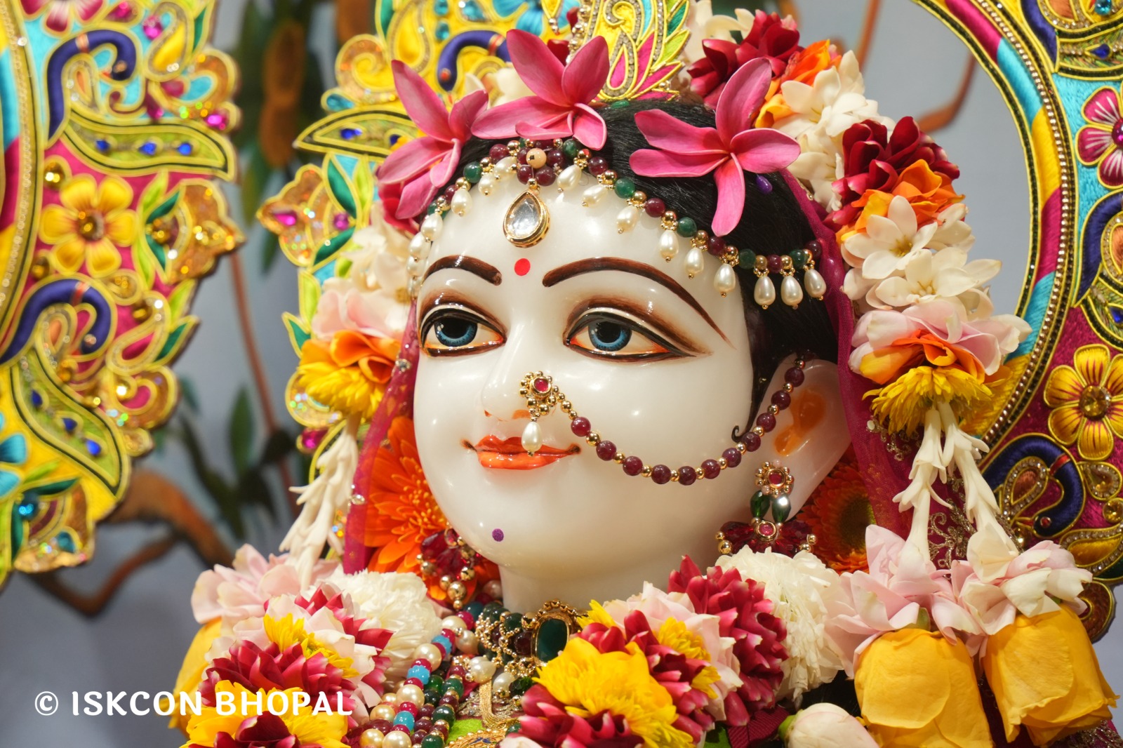 WhatsApp Image 2026-01-24 at 7.45.08 AM