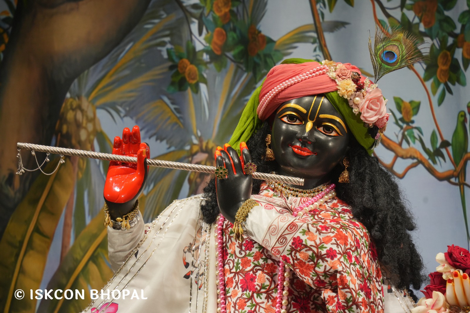 WhatsApp Image 2026-01-25 at 8.46.13 AM (1)