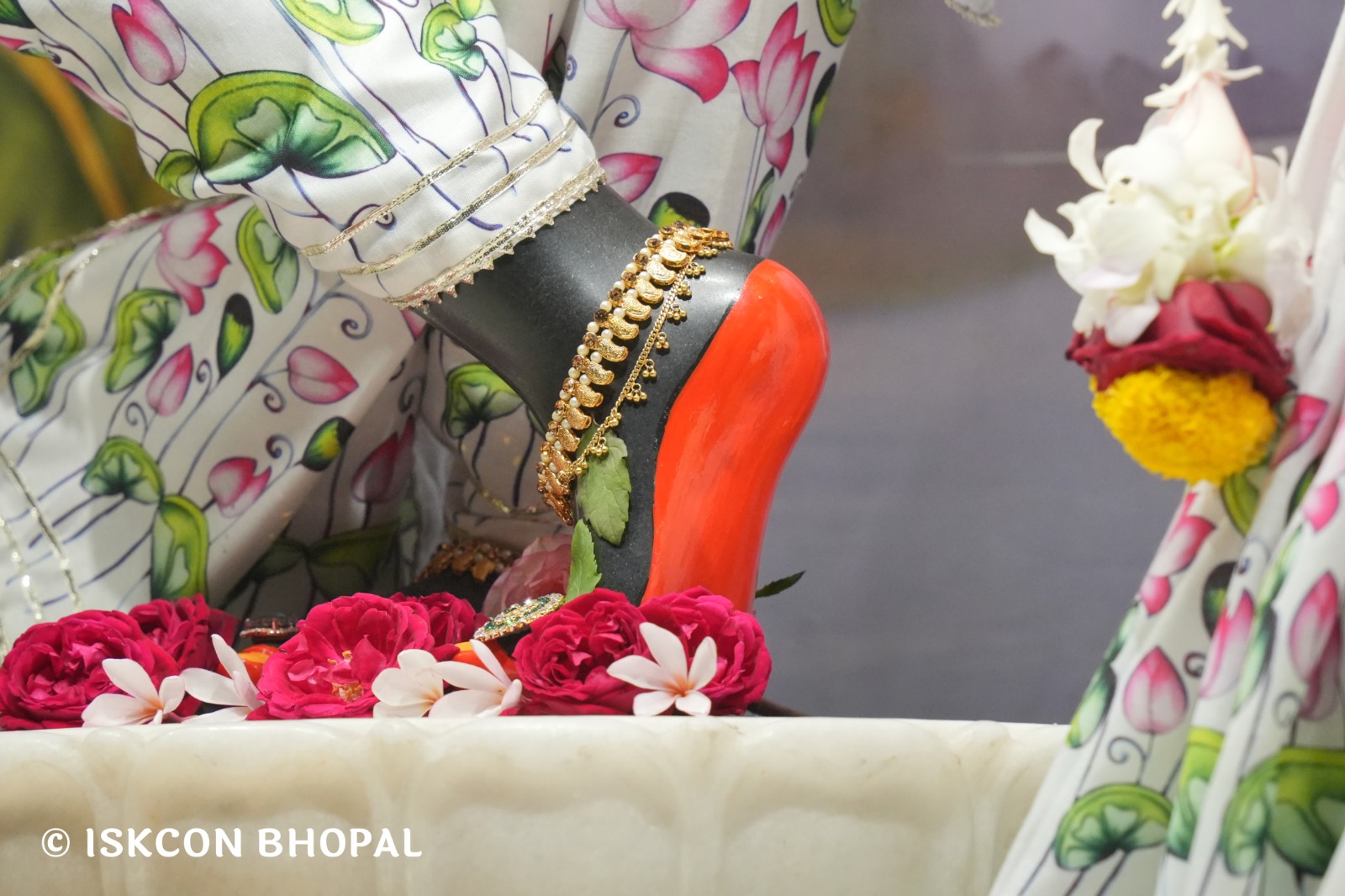 WhatsApp Image 2026-01-25 at 8.46.14 AM (1)