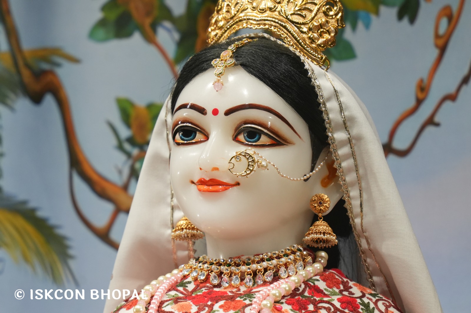 WhatsApp Image 2026-01-25 at 8.46.15 AM (1)