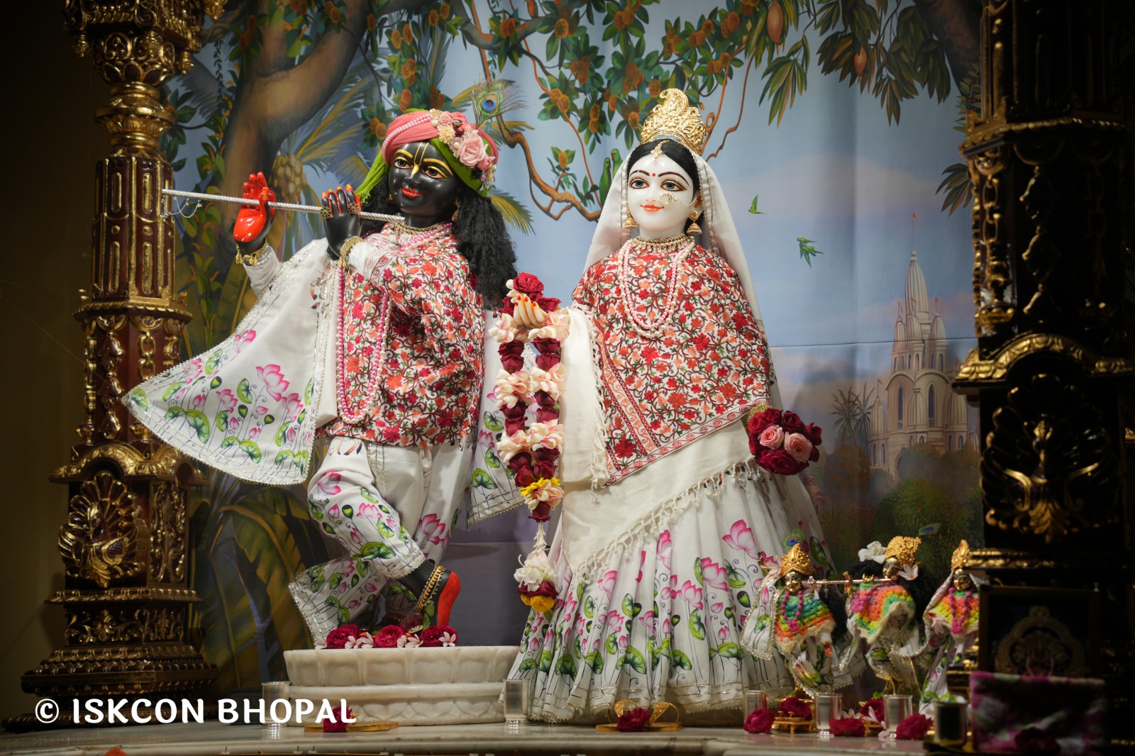 WhatsApp Image 2026-01-25 at 8.46.15 AM (2)