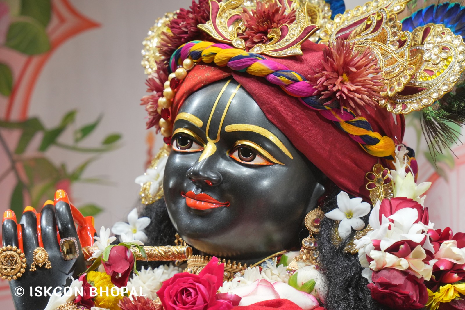 WhatsApp Image 2026-01-25 at 9.19.57 AM