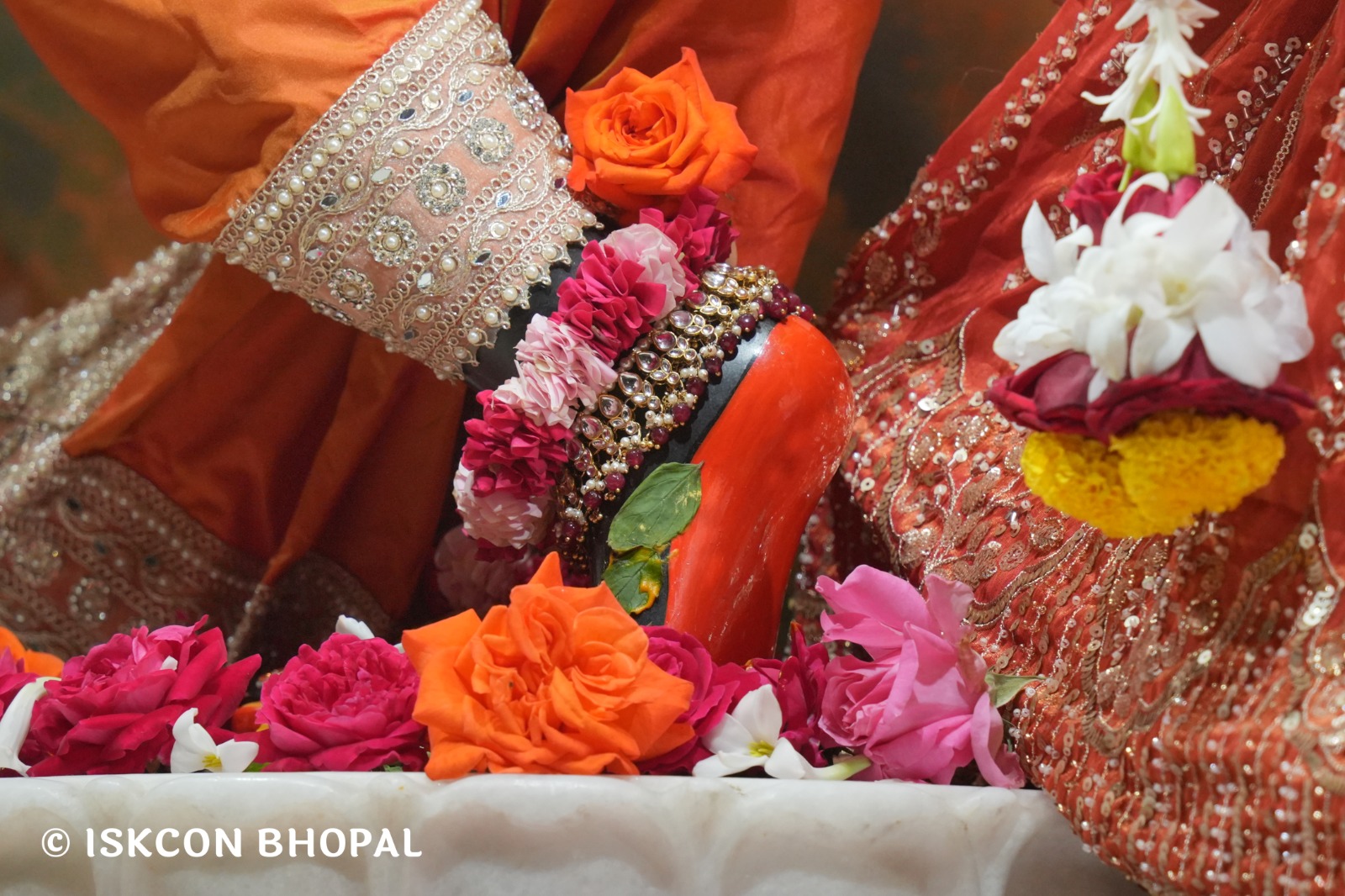 WhatsApp Image 2026-01-25 at 9.19.58 AM (3)