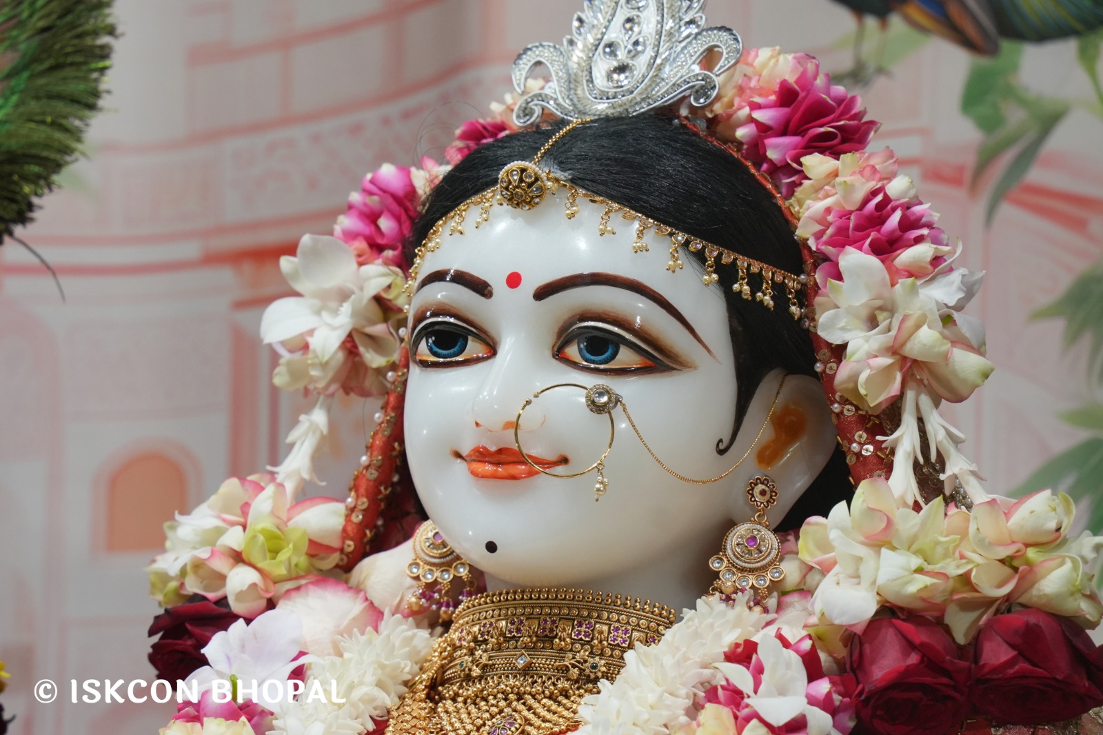 WhatsApp Image 2026-01-25 at 9.19.58 AM