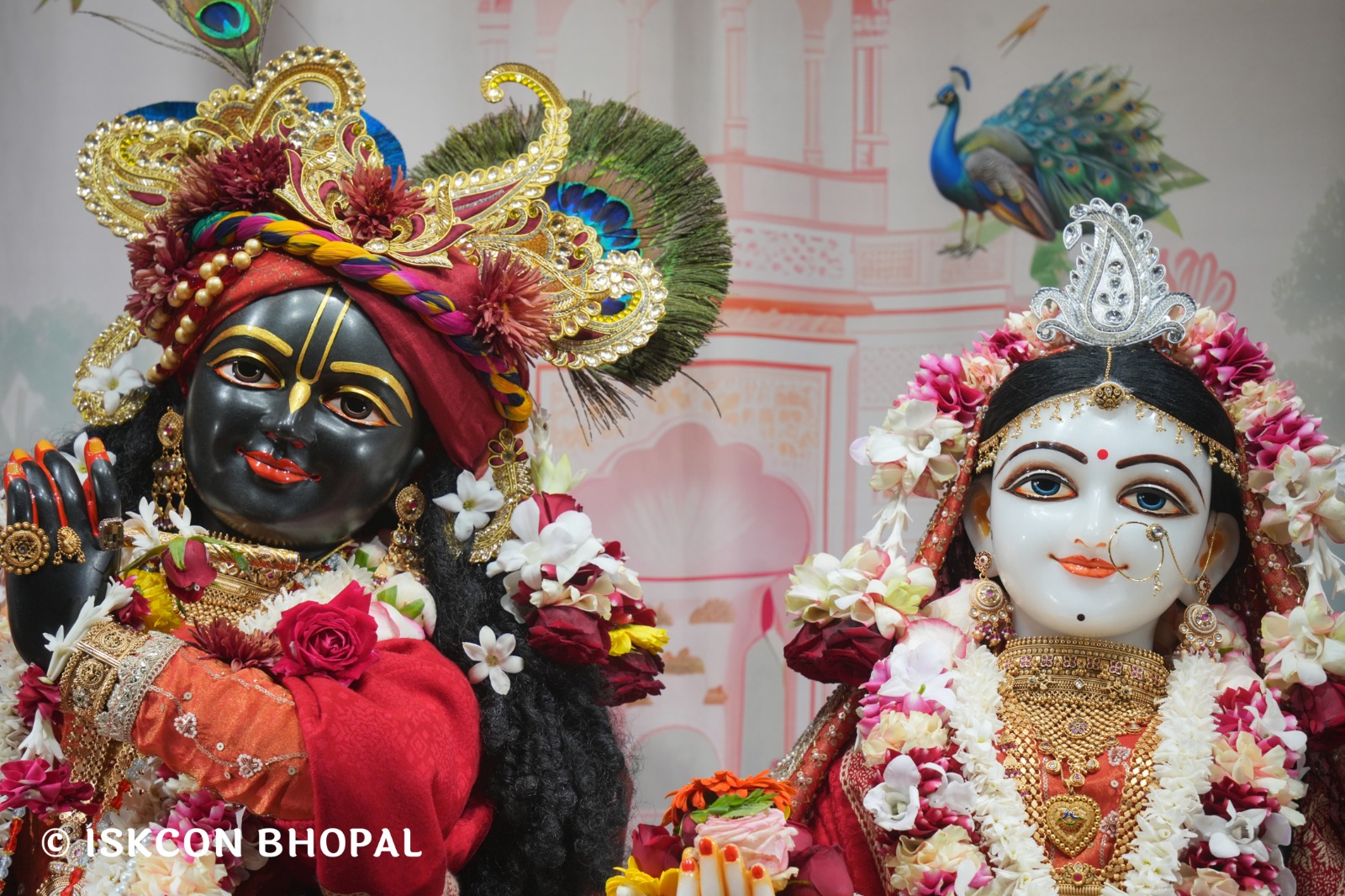 WhatsApp Image 2026-01-25 at 9.20.00 AM