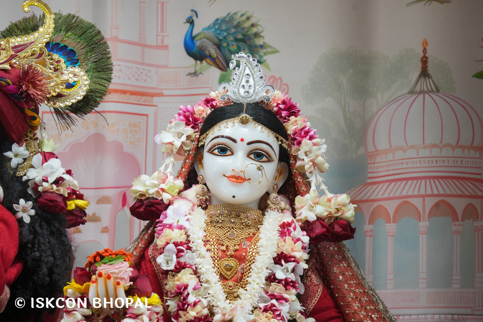 WhatsApp Image 2026-01-25 at 9.20.01 AM