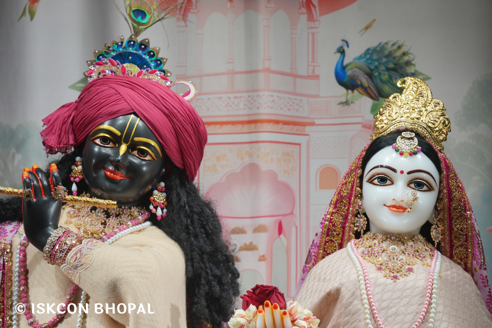 WhatsApp Image 2026-01-26 at 8.19.42 AM (1)