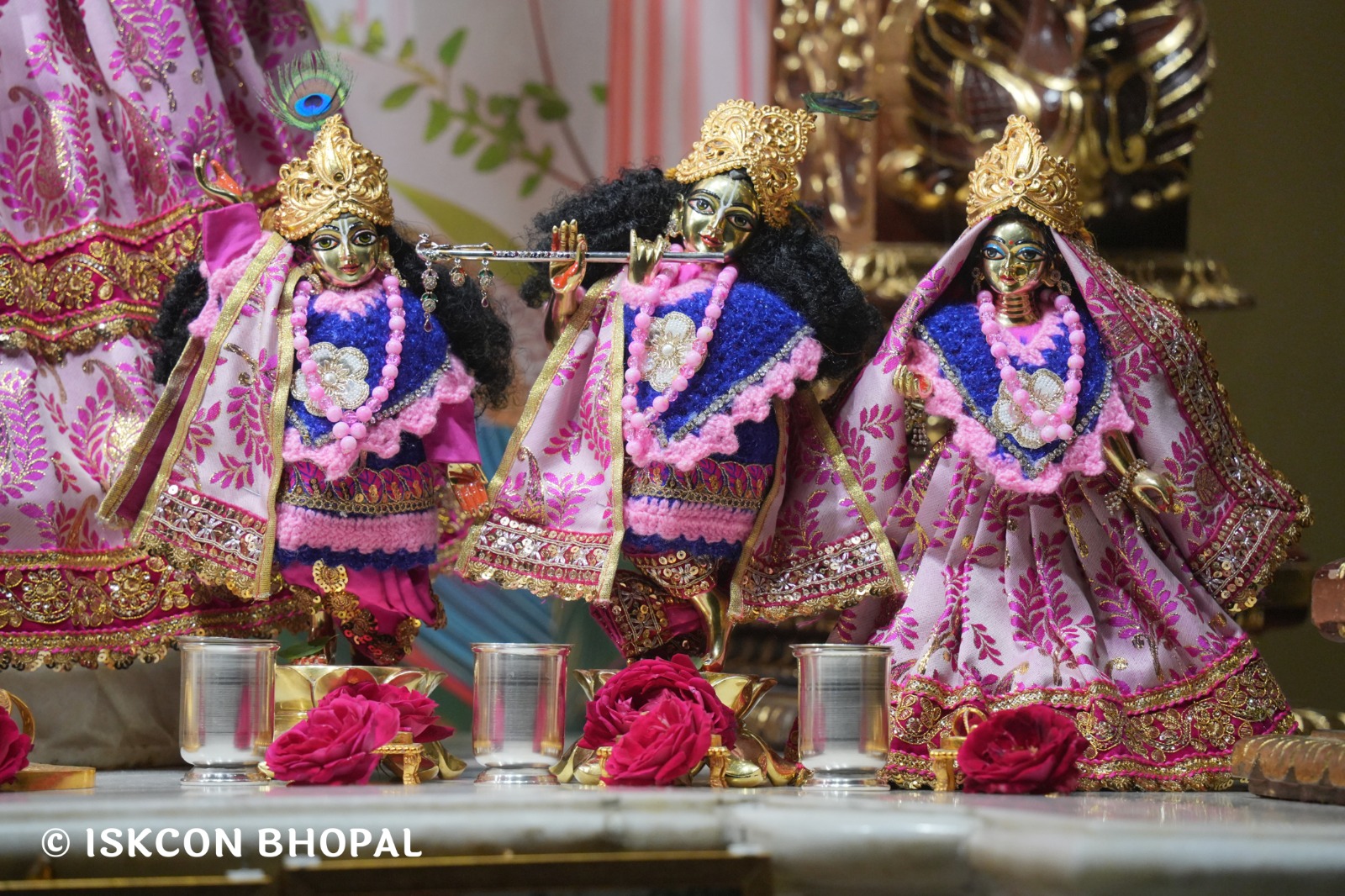 WhatsApp Image 2026-01-26 at 8.19.42 AM (2)