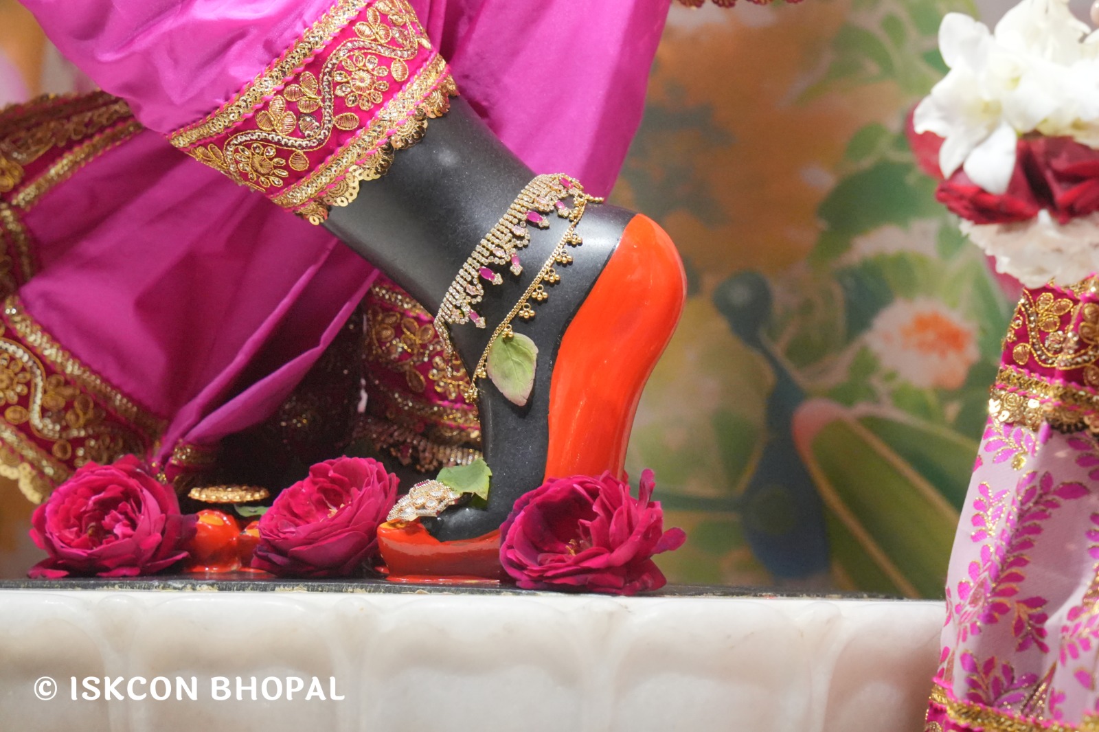 WhatsApp Image 2026-01-26 at 8.19.42 AM