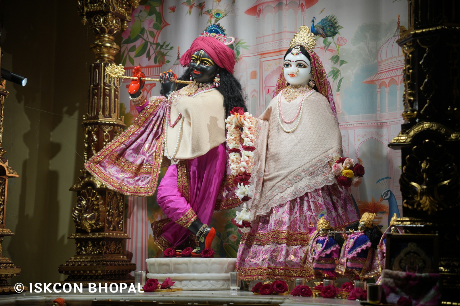 WhatsApp Image 2026-01-26 at 8.19.43 AM (1)