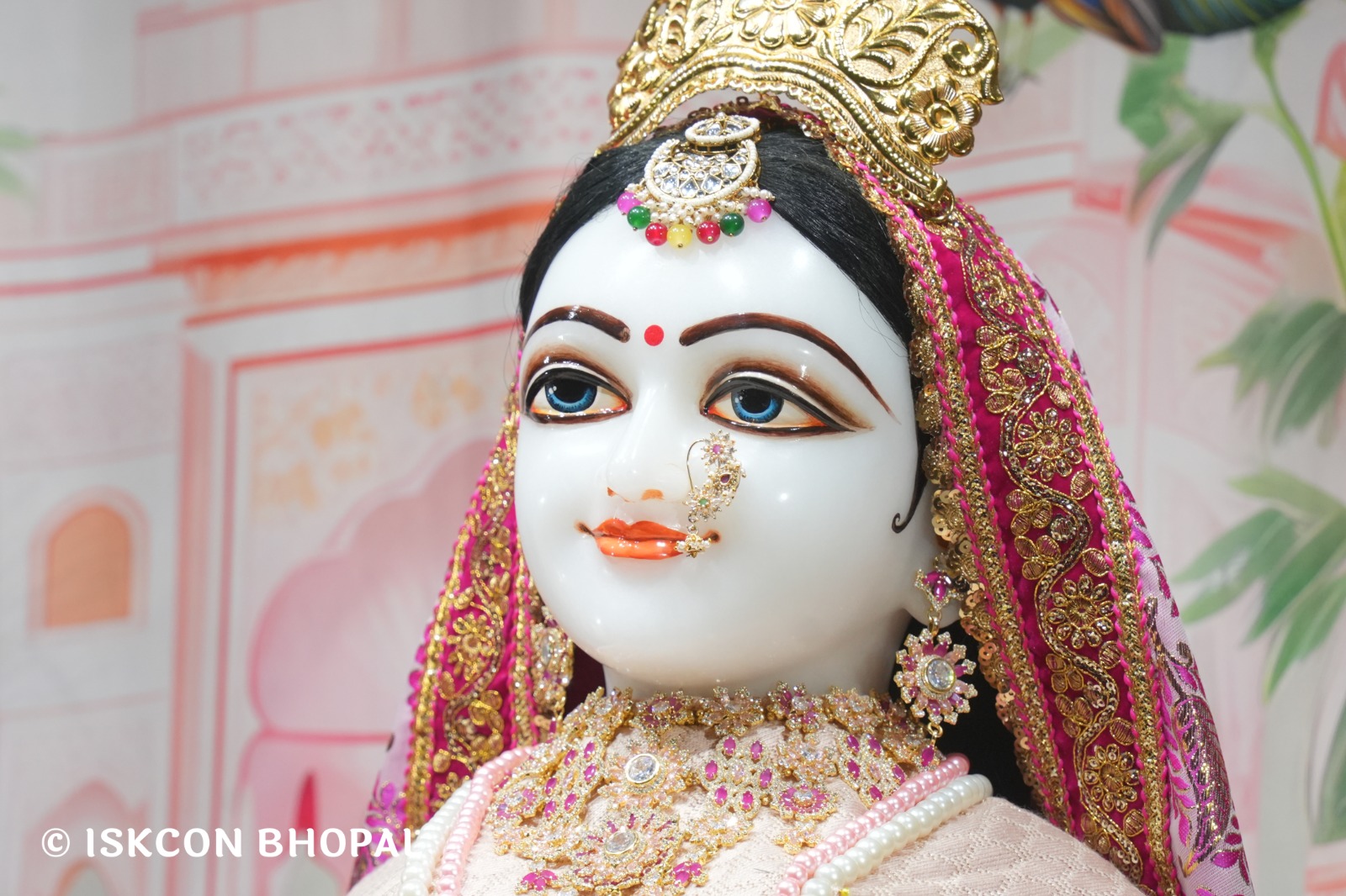 WhatsApp Image 2026-01-26 at 8.19.43 AM (2)