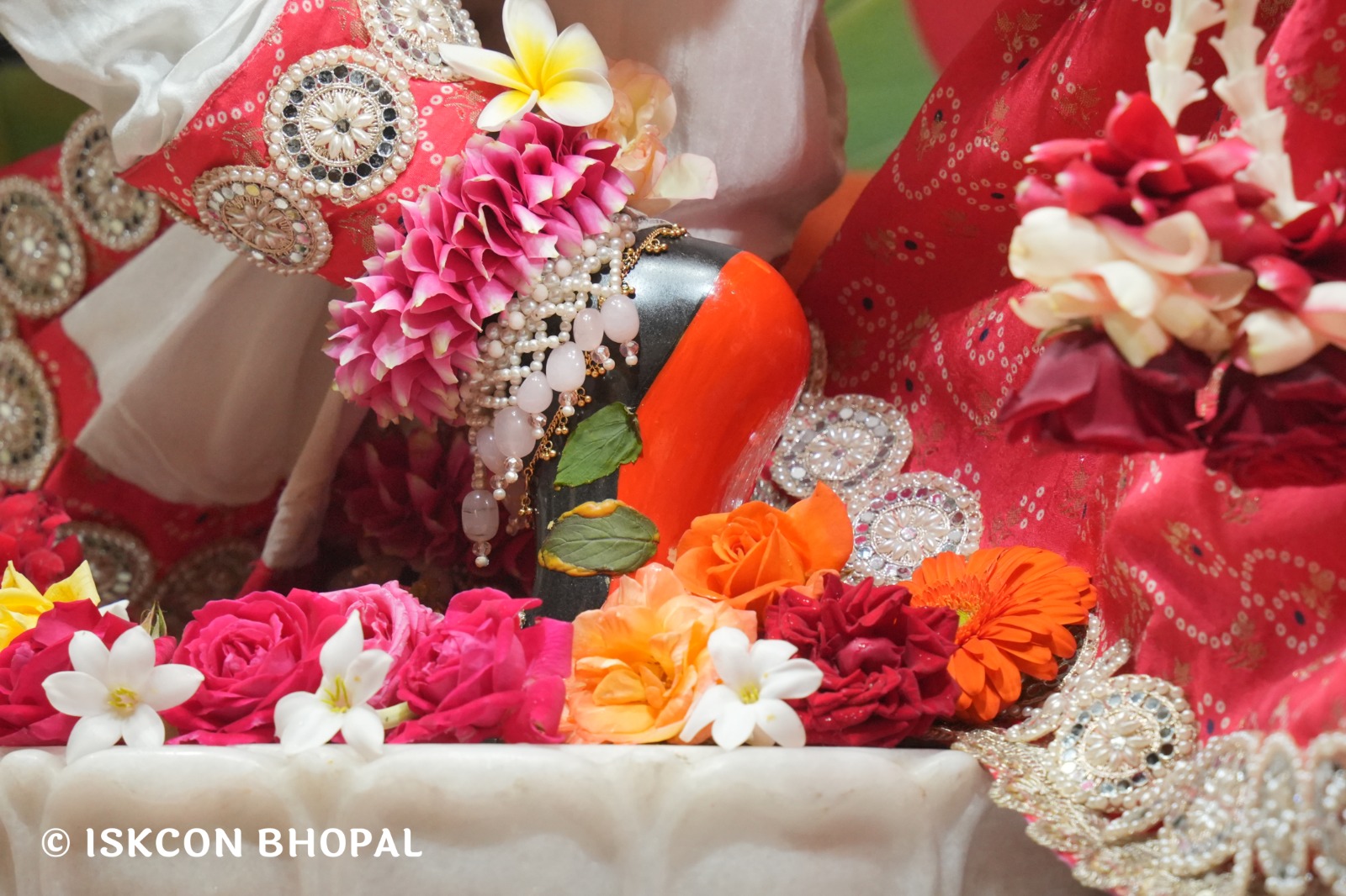 WhatsApp Image 2026-01-26 at 8.20.59 AM (1)