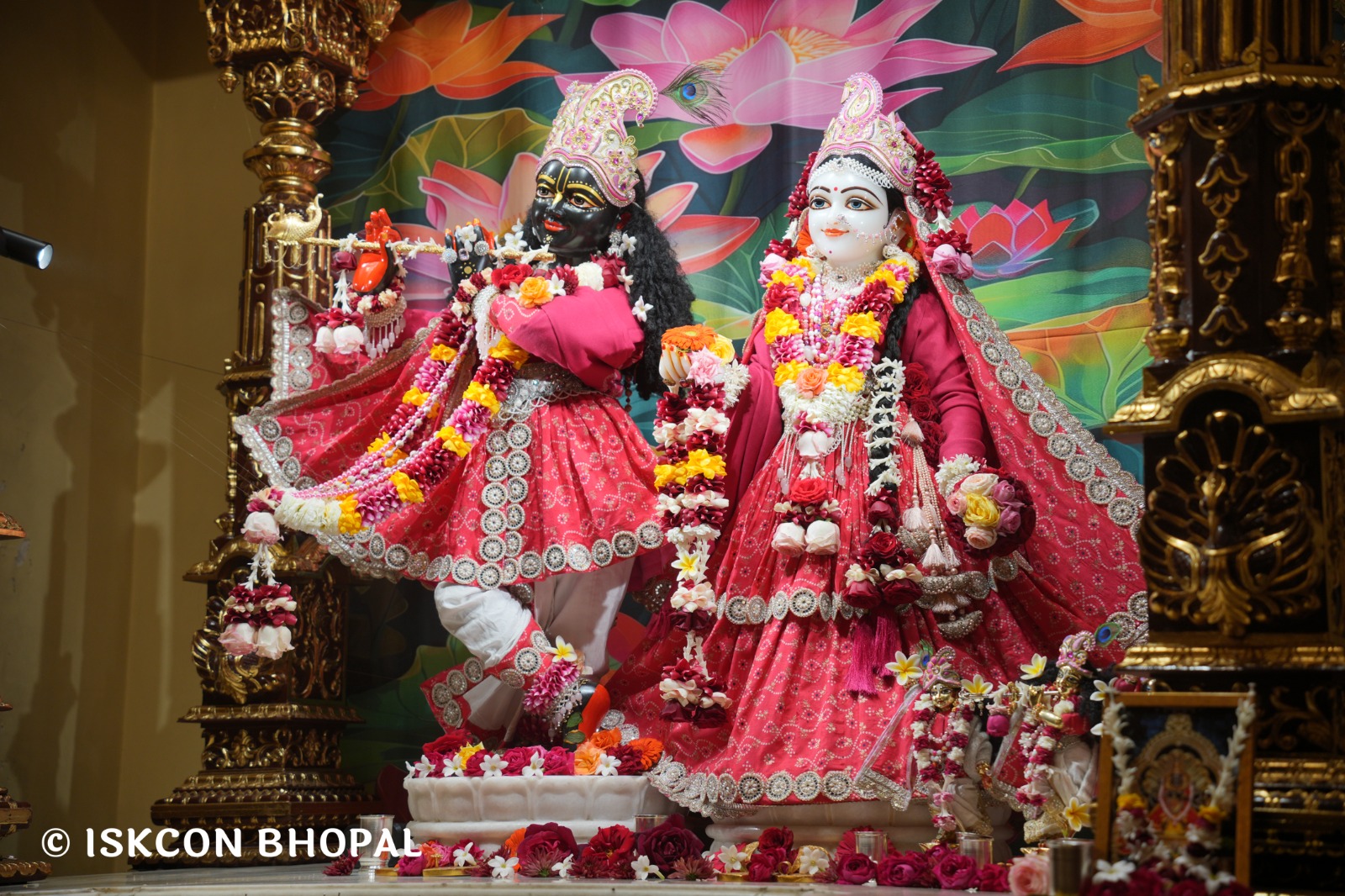 WhatsApp Image 2026-01-26 at 8.20.59 AM (2)