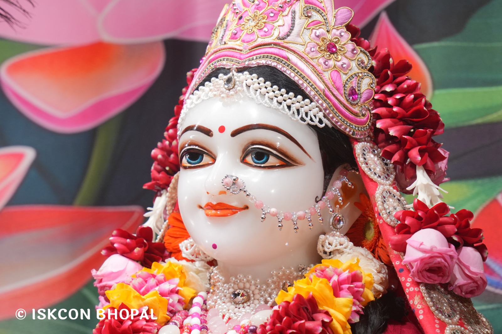 WhatsApp Image 2026-01-26 at 8.21.00 AM (1)