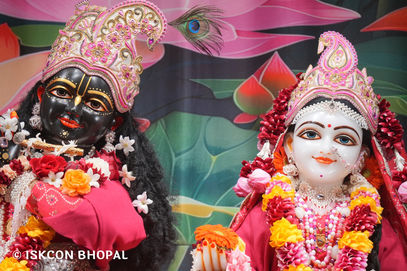 WhatsApp Image 2026-01-26 at 8.21.00 AM