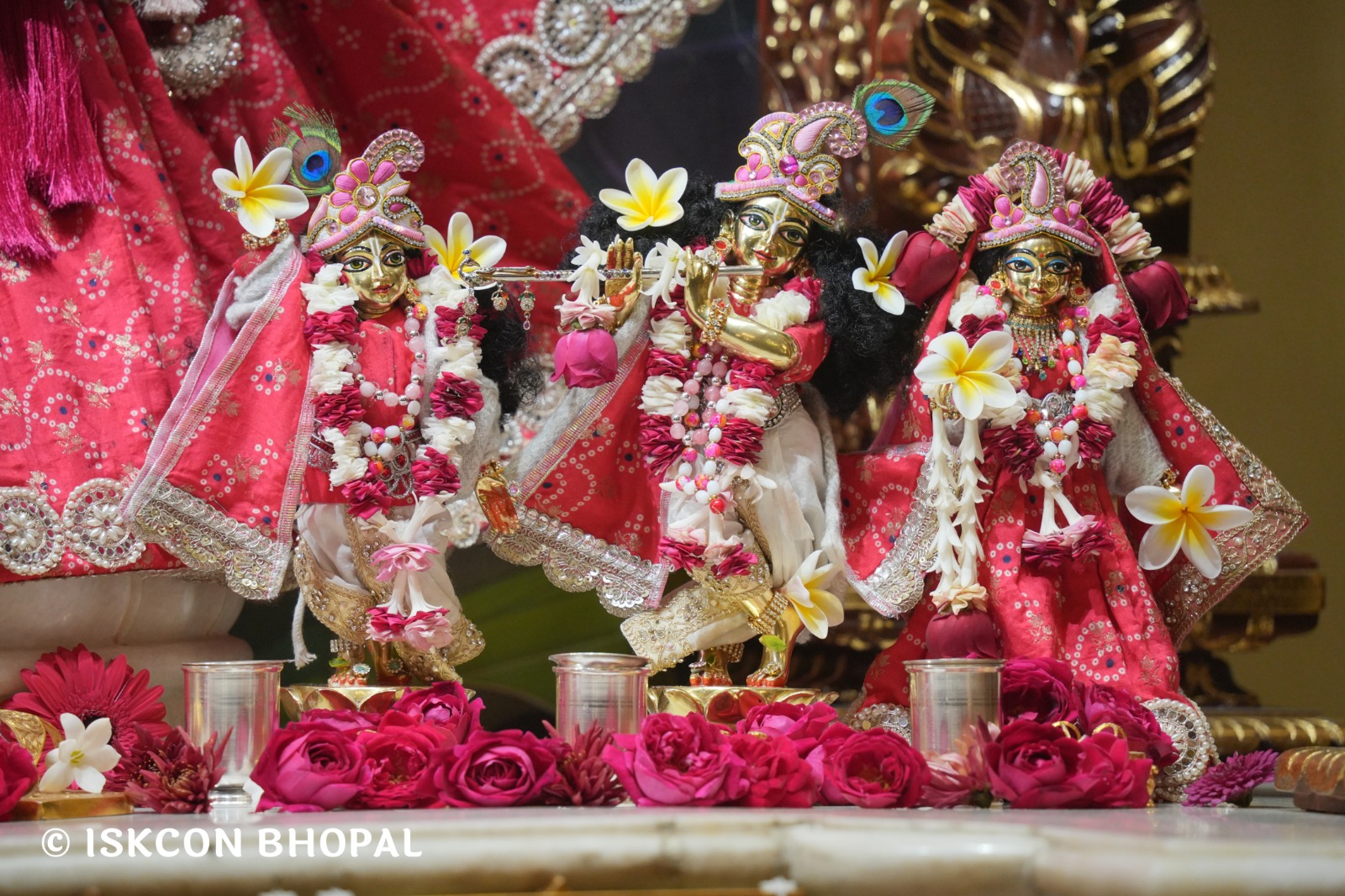 WhatsApp Image 2026-01-26 at 8.21.01 AM (2)