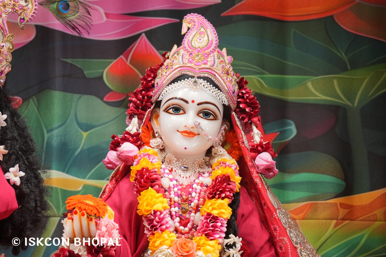 WhatsApp Image 2026-01-26 at 8.21.01 AM