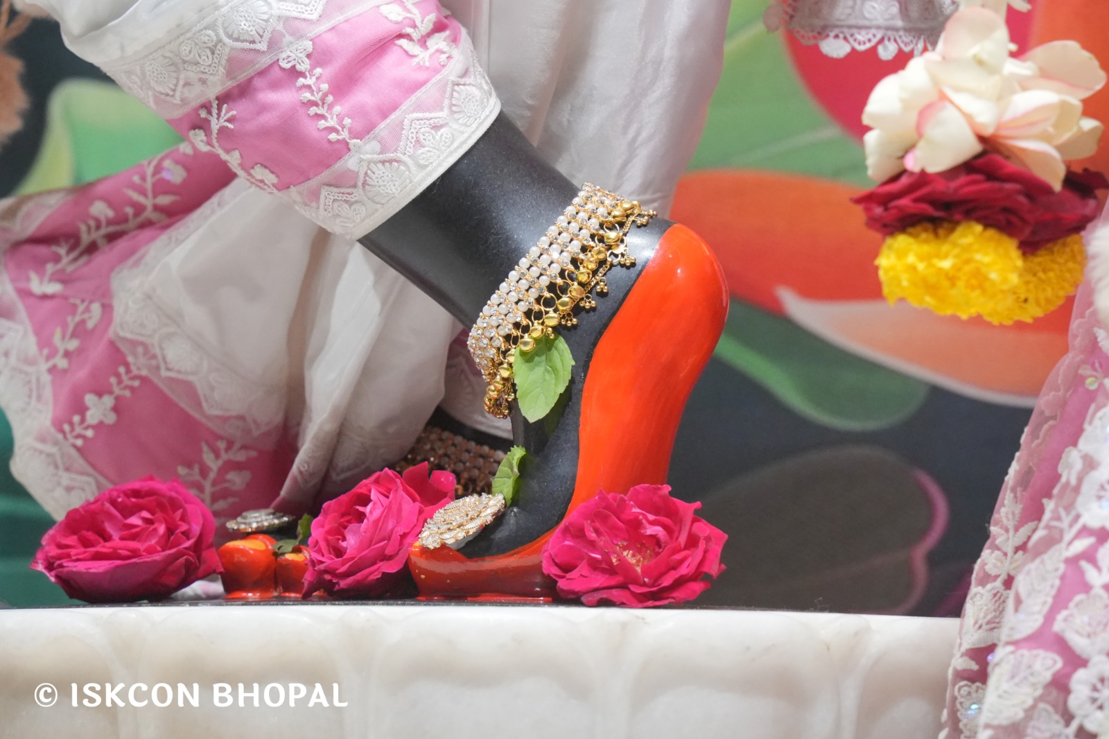 WhatsApp Image 2026-01-27 at 7.52.59 AM (1)