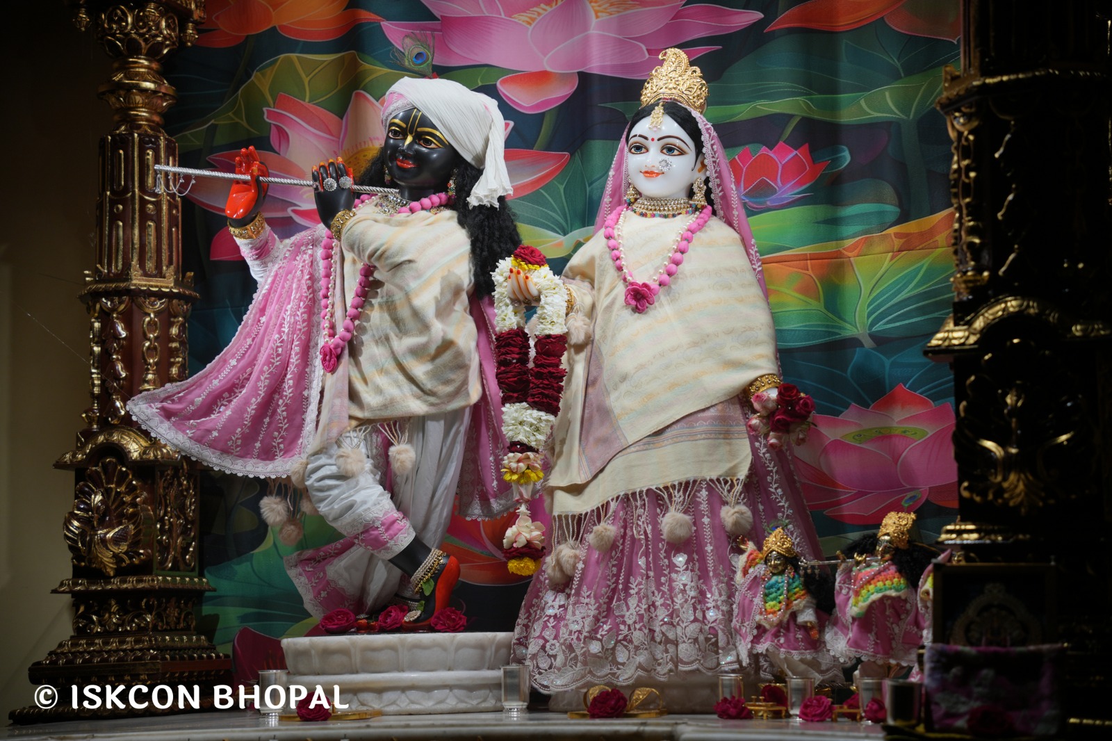 WhatsApp Image 2026-01-27 at 7.53.00 AM