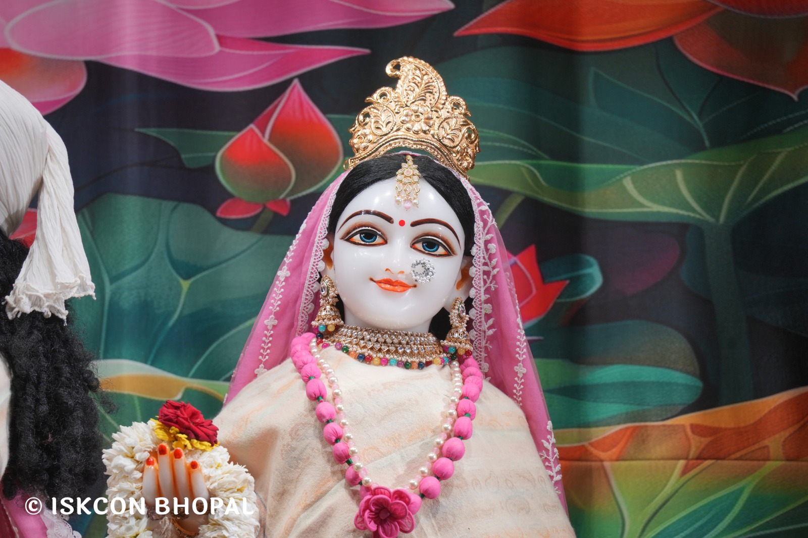 WhatsApp Image 2026-01-27 at 7.53.01 AM (1)