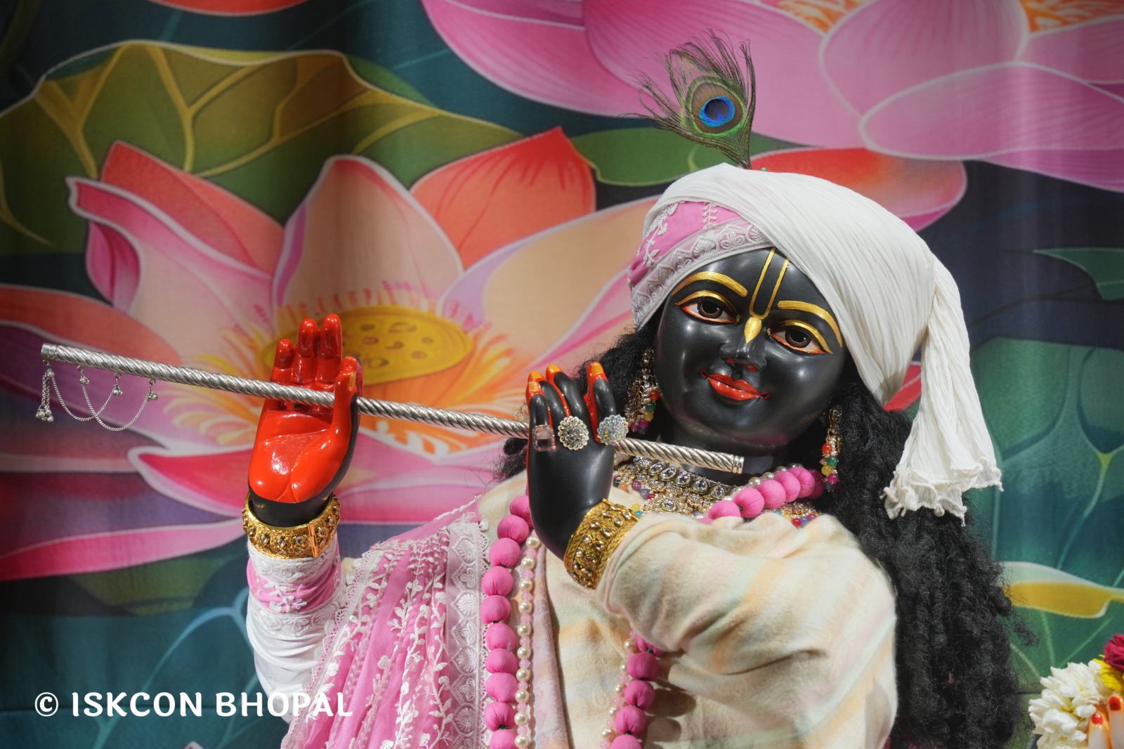 WhatsApp Image 2026-01-27 at 7.53.01 AM