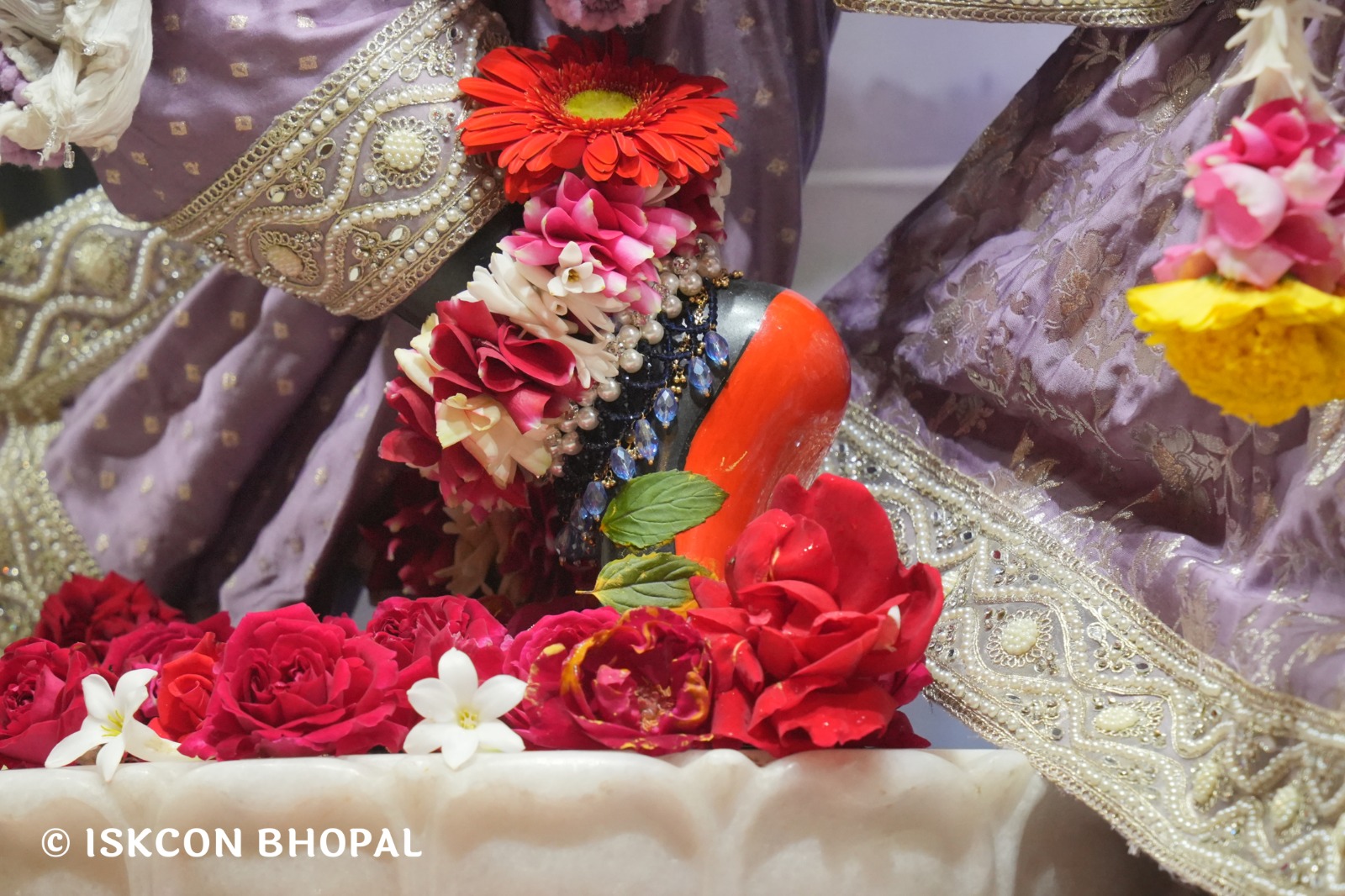 WhatsApp Image 2026-01-28 at 6.50.40 AM (3)