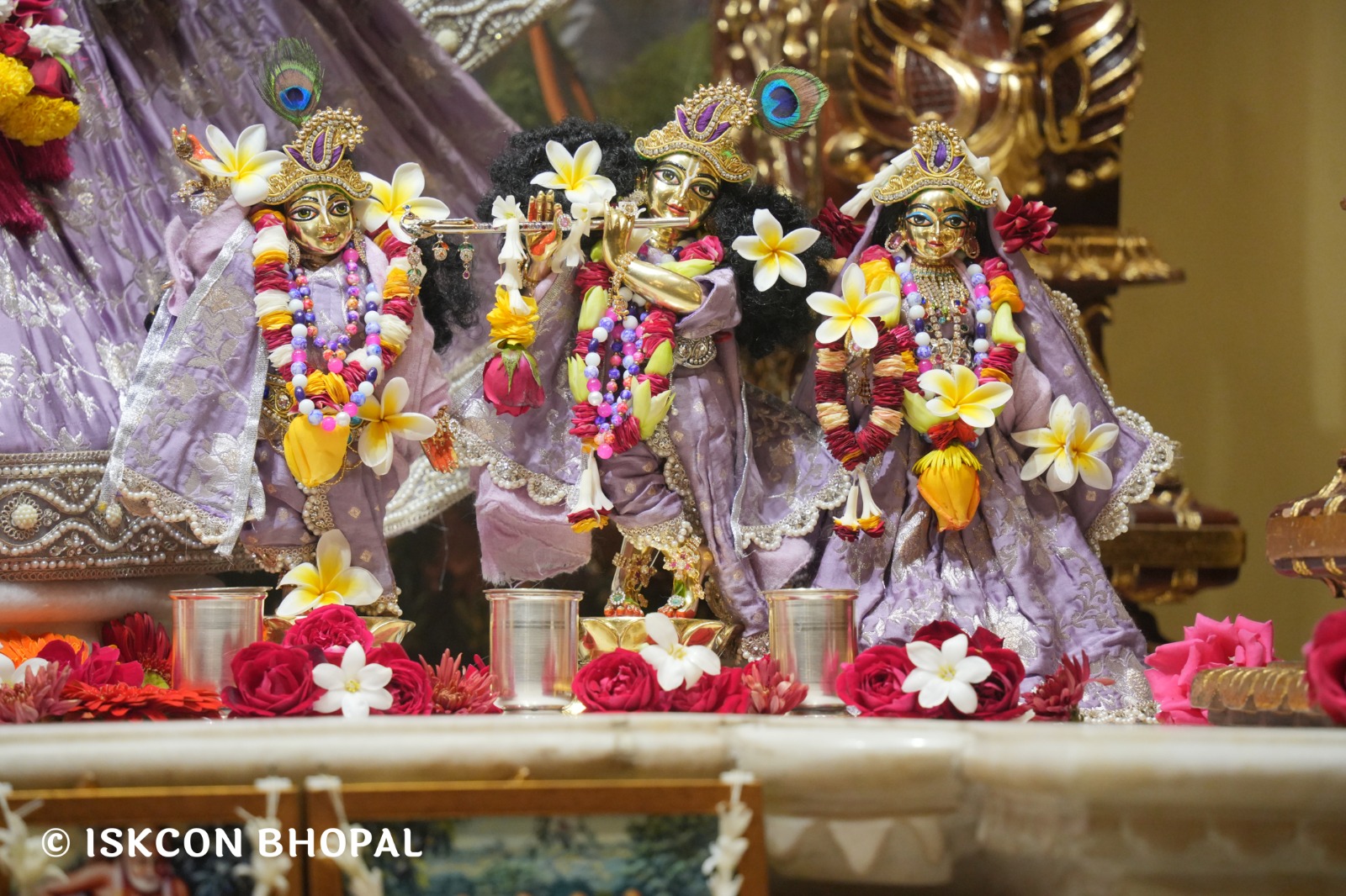 WhatsApp Image 2026-01-28 at 6.50.40 AM (4)