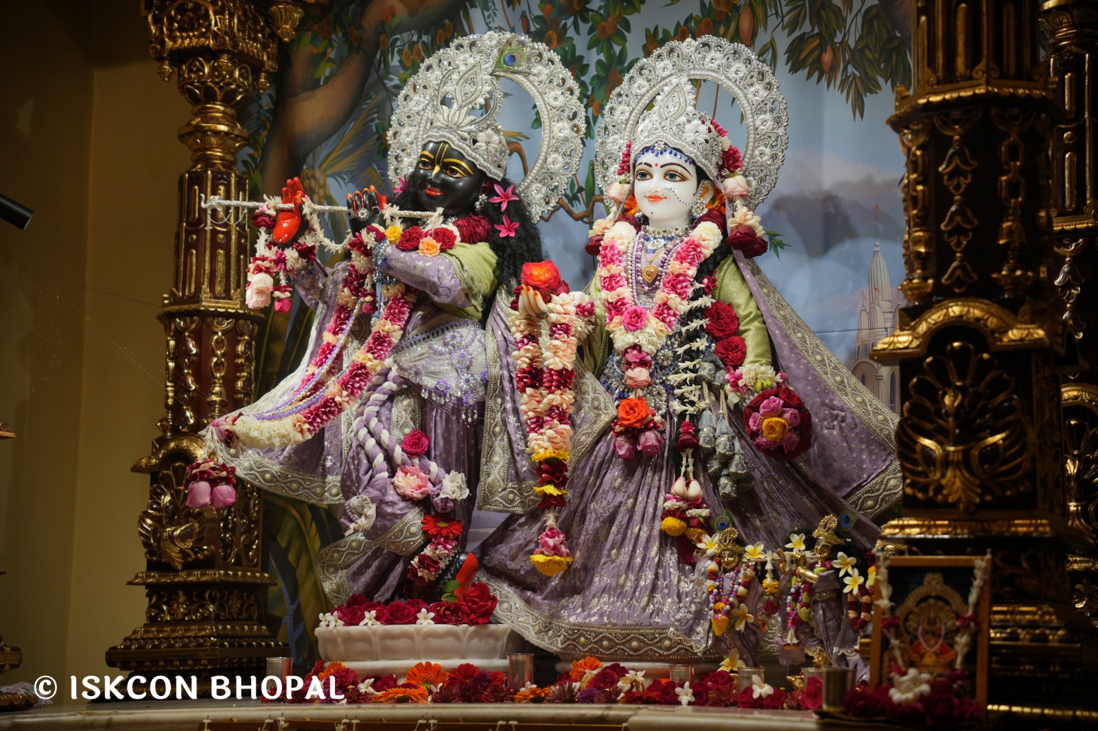 WhatsApp Image 2026-01-28 at 6.50.41 AM (1)