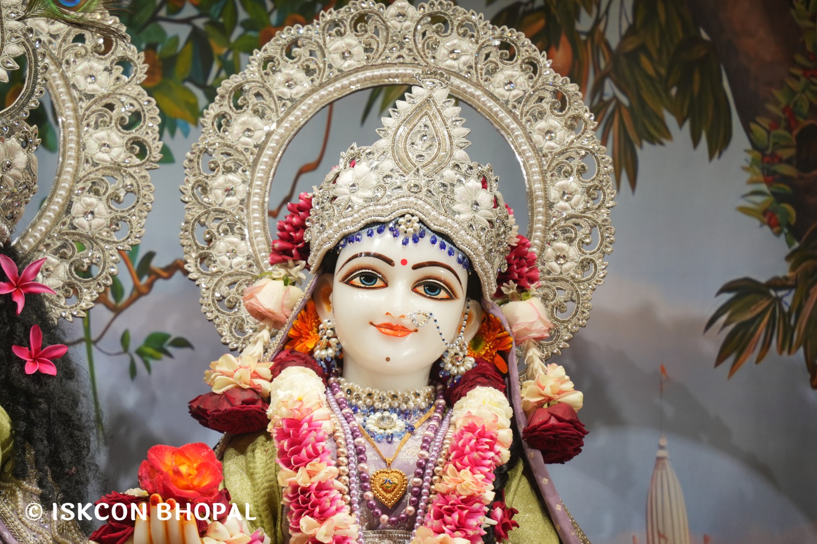 WhatsApp Image 2026-01-28 at 6.50.41 AM (2)