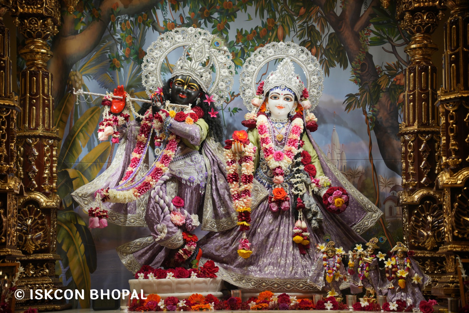 WhatsApp Image 2026-01-28 at 6.50.41 AM