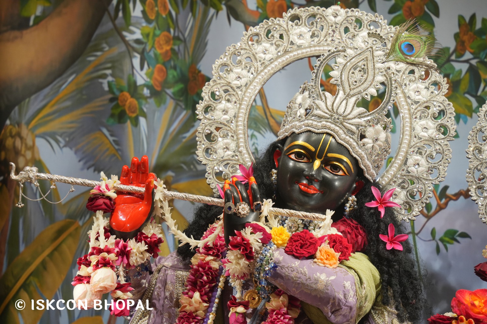 WhatsApp Image 2026-01-28 at 6.50.42 AM (1)