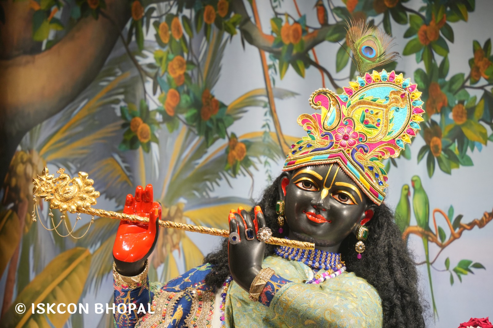 WhatsApp Image 2026-01-28 at 6.53.24 AM (1)