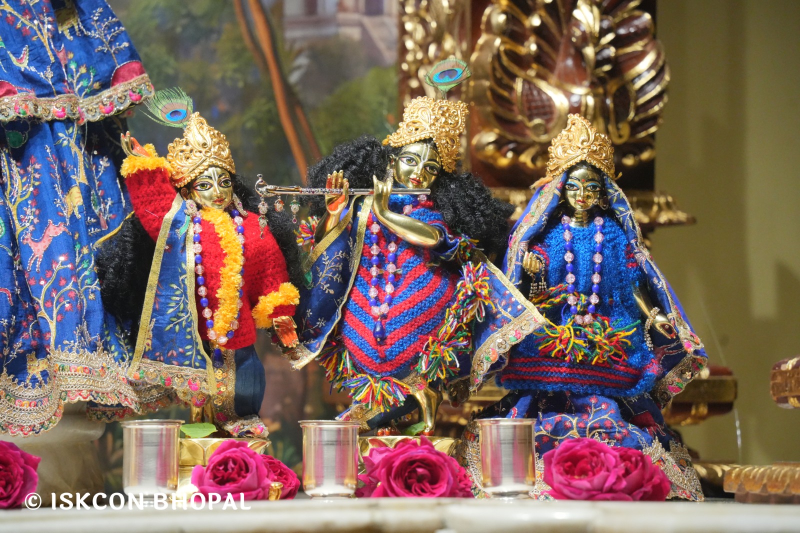 WhatsApp Image 2026-01-28 at 6.53.25 AM