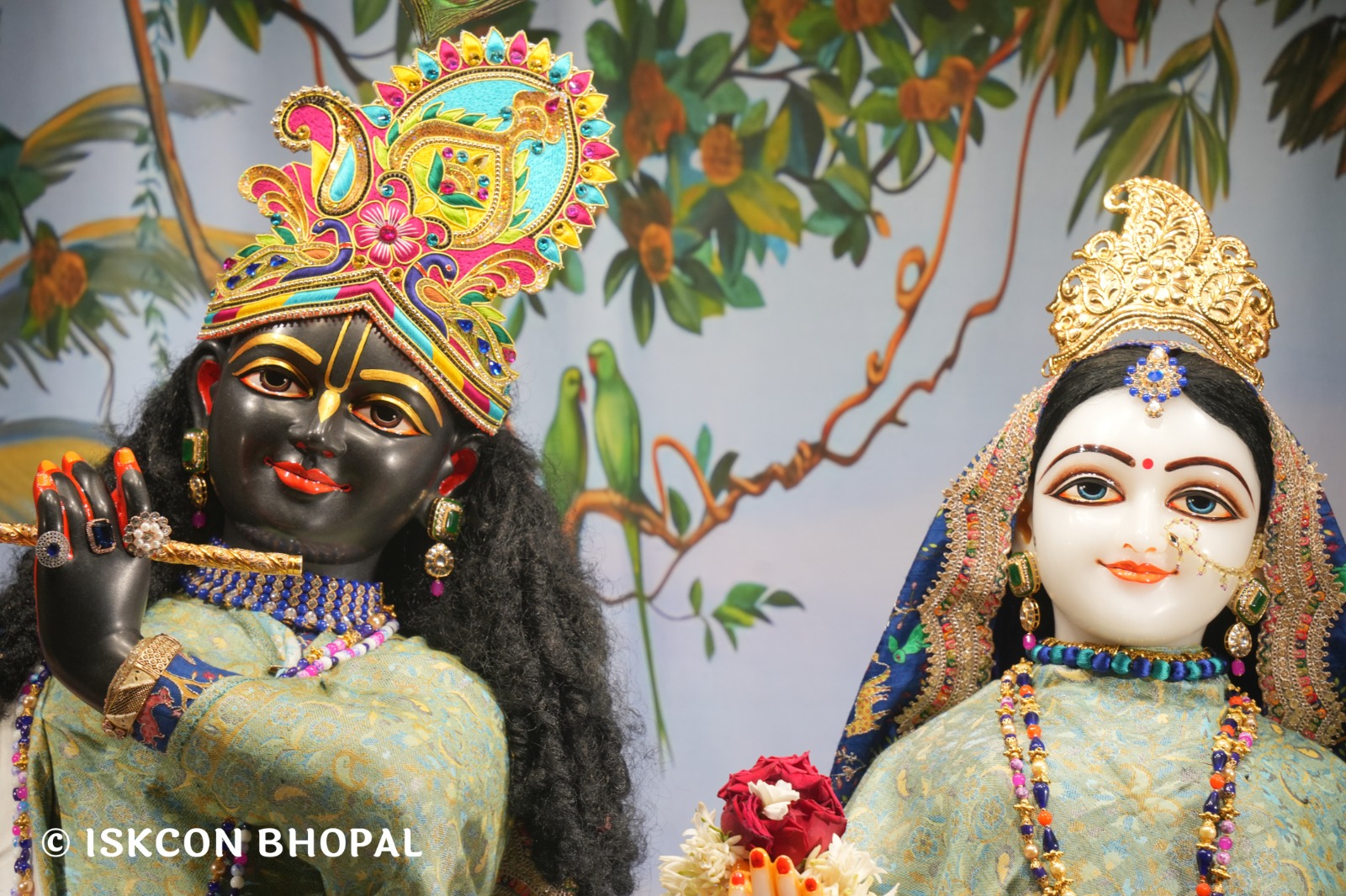 WhatsApp Image 2026-01-28 at 6.53.26 AM