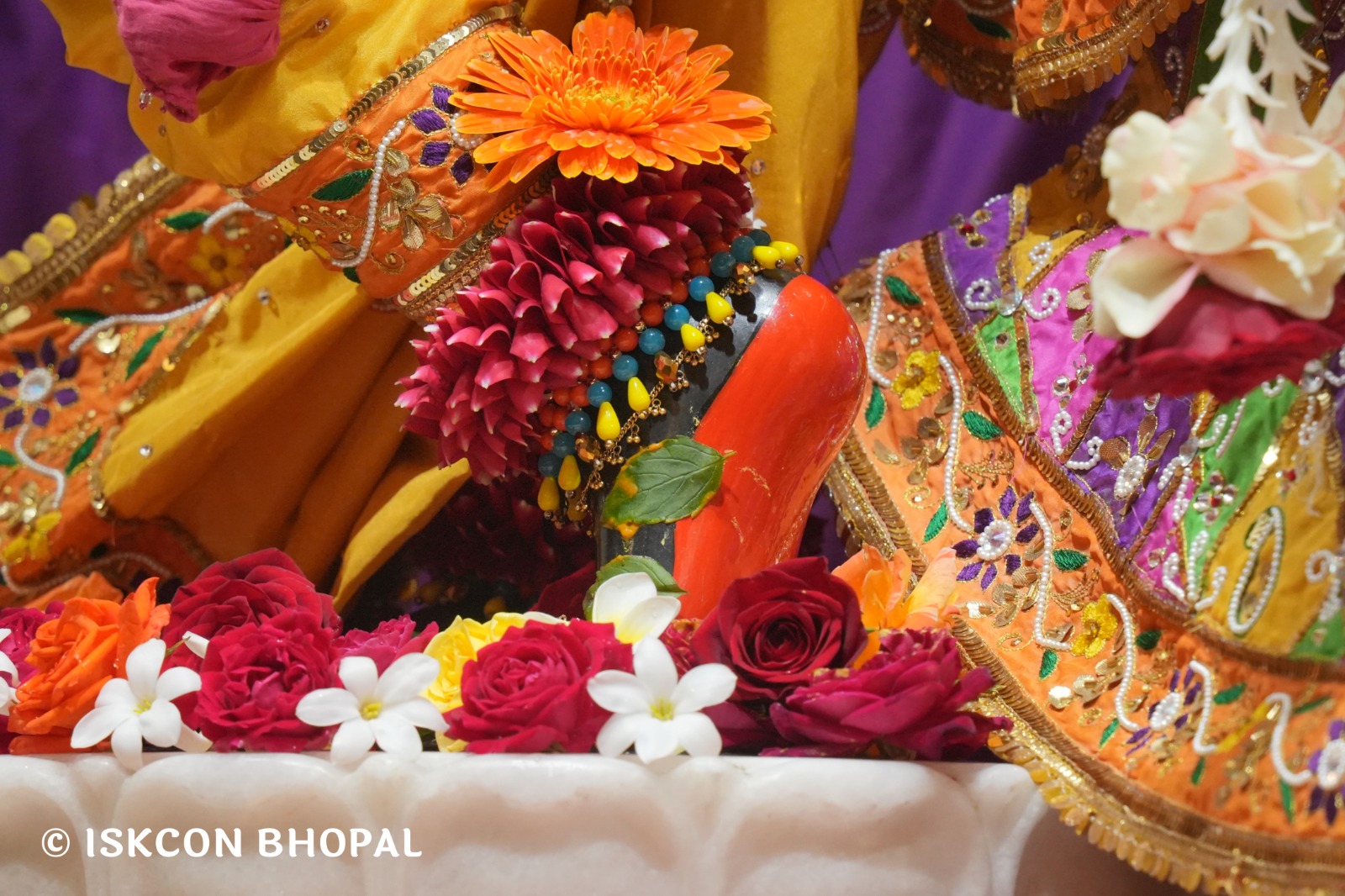 WhatsApp Image 2026-01-28 at 7.45.22 AM (1)