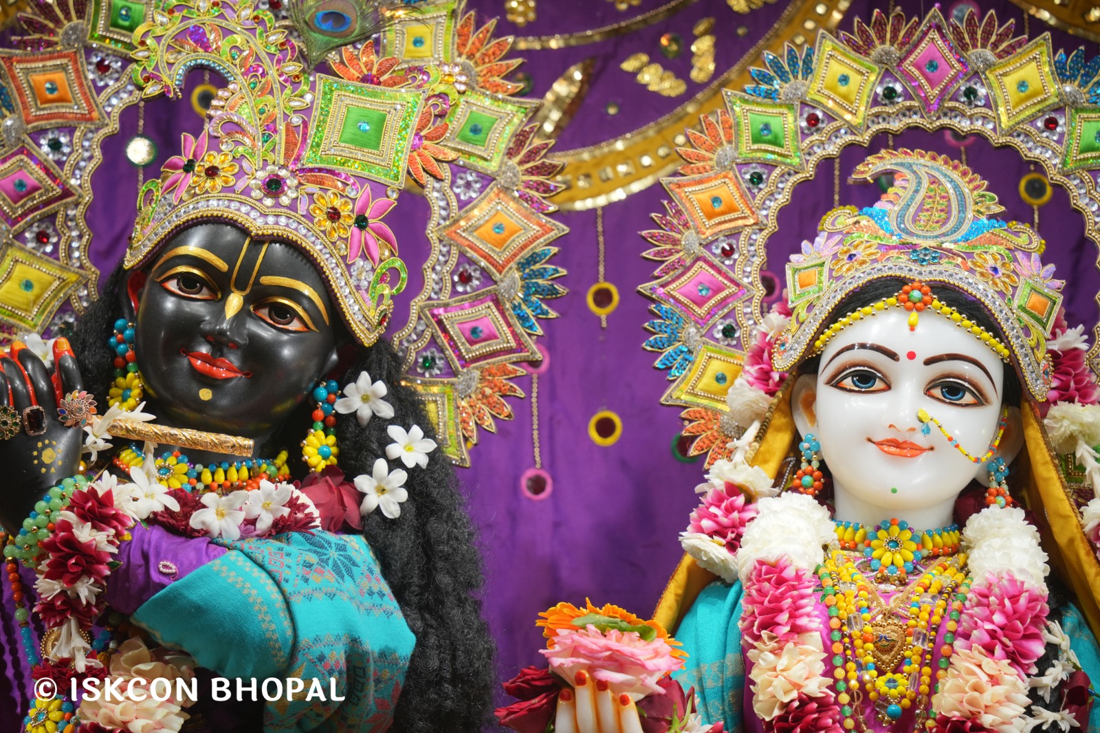 WhatsApp Image 2026-01-28 at 7.45.23 AM (2)