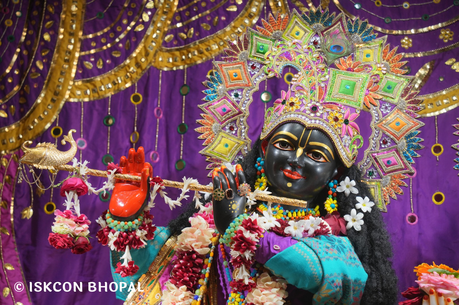 WhatsApp Image 2026-01-28 at 7.45.23 AM (3)