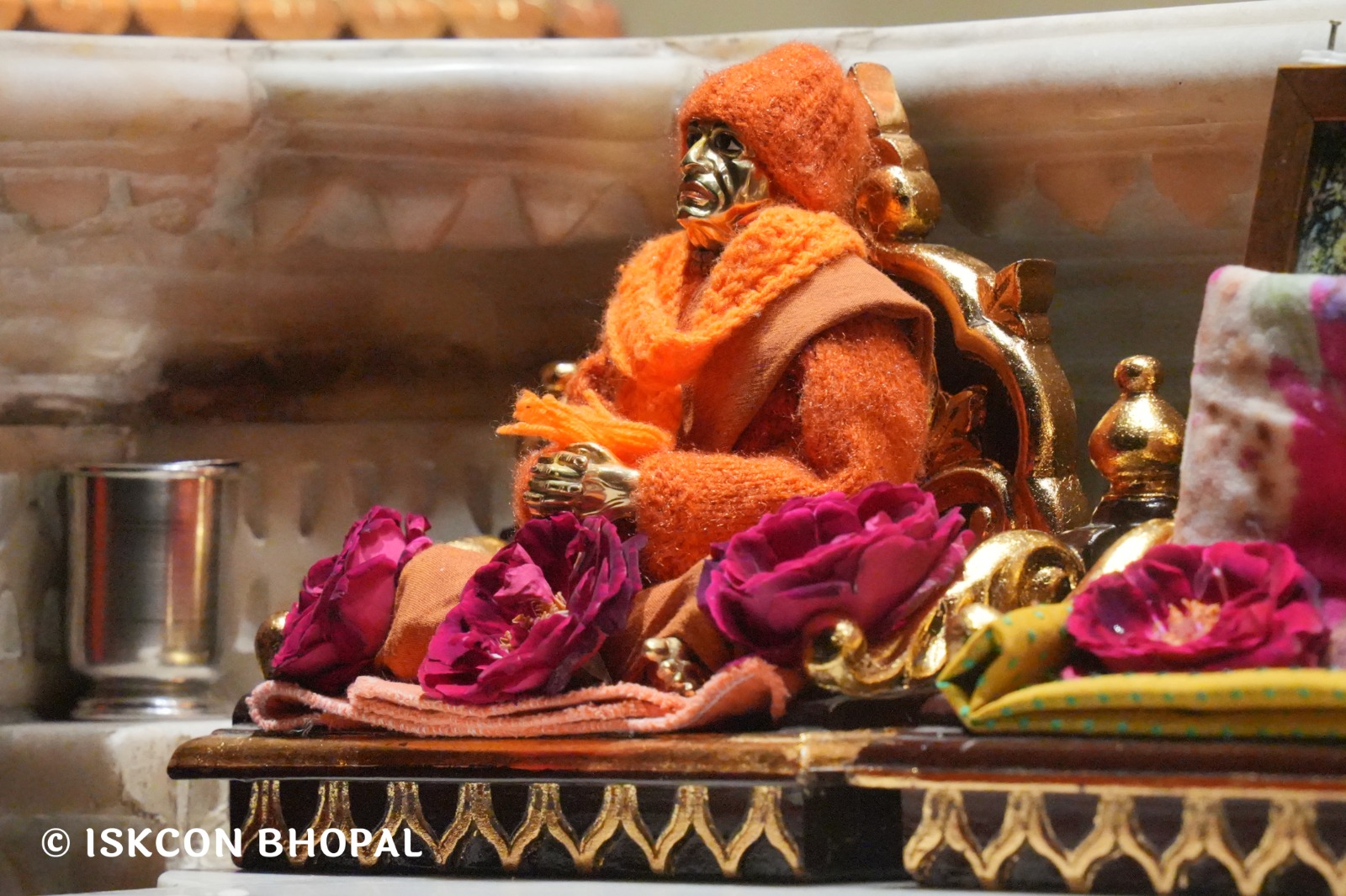 WhatsApp Image 2026-01-29 at 7.04.47 AM (1)