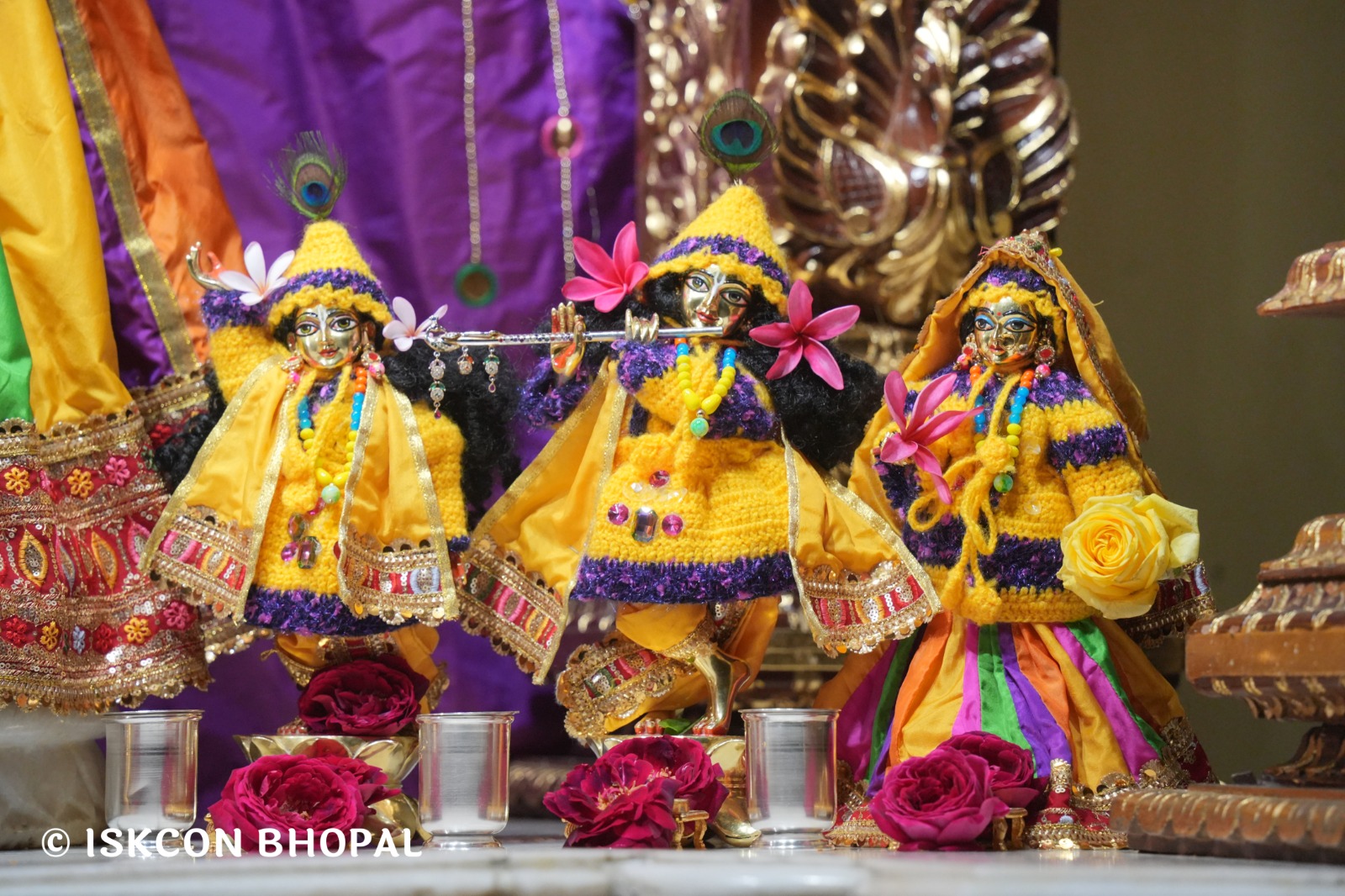 WhatsApp Image 2026-01-29 at 7.04.47 AM (2)