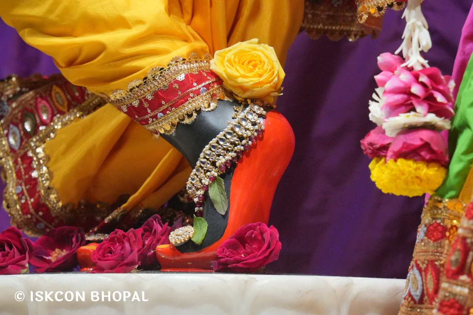 WhatsApp Image 2026-01-29 at 7.04.47 AM (3)