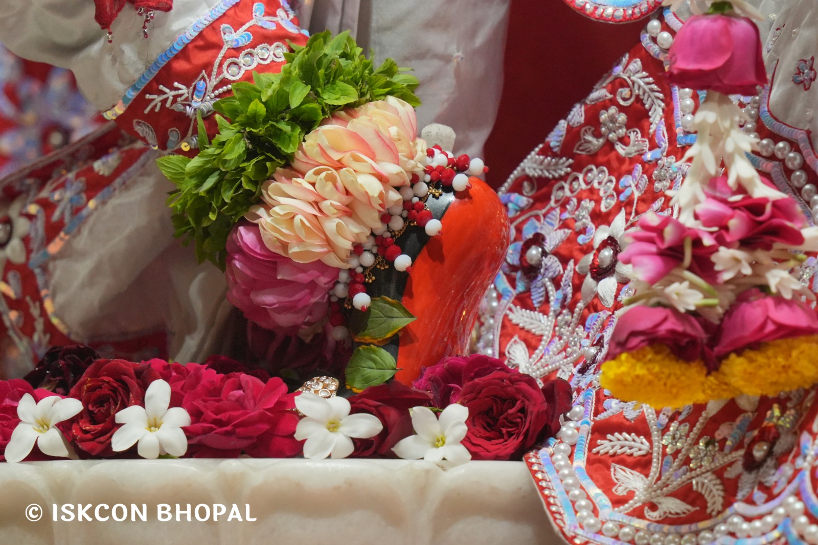 WhatsApp Image 2026-01-29 at 7.45.05 AM