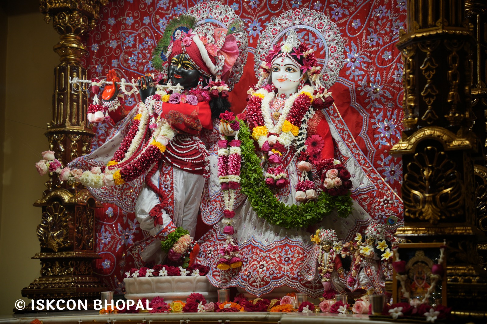 WhatsApp Image 2026-01-29 at 7.45.07 AM (2)