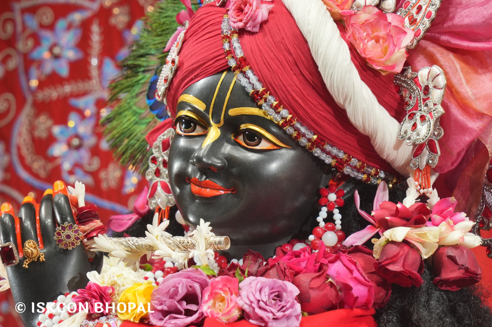 WhatsApp Image 2026-01-29 at 7.45.08 AM (1)