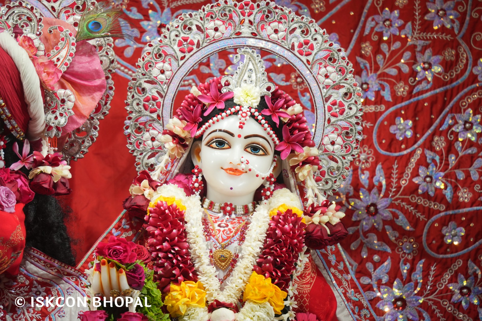 WhatsApp Image 2026-01-29 at 7.45.09 AM (1)