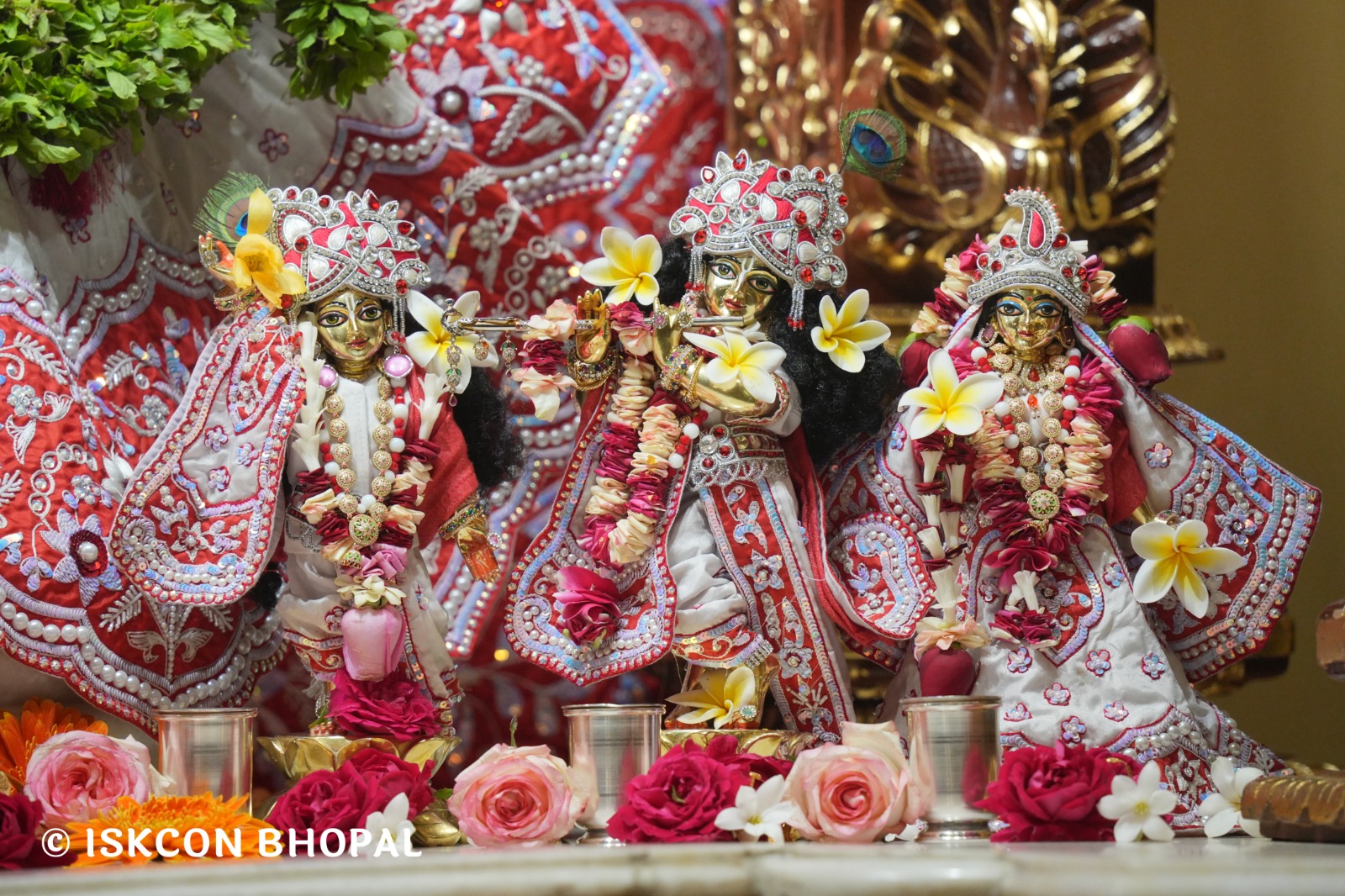 WhatsApp Image 2026-01-29 at 7.45.09 AM (2)