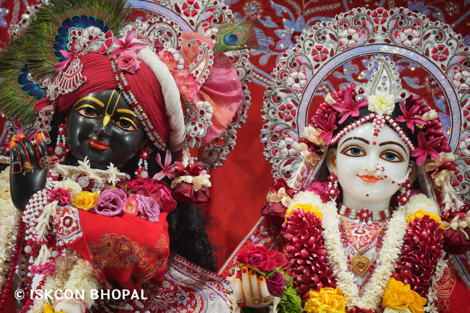 WhatsApp Image 2026-01-29 at 7.45.09 AM