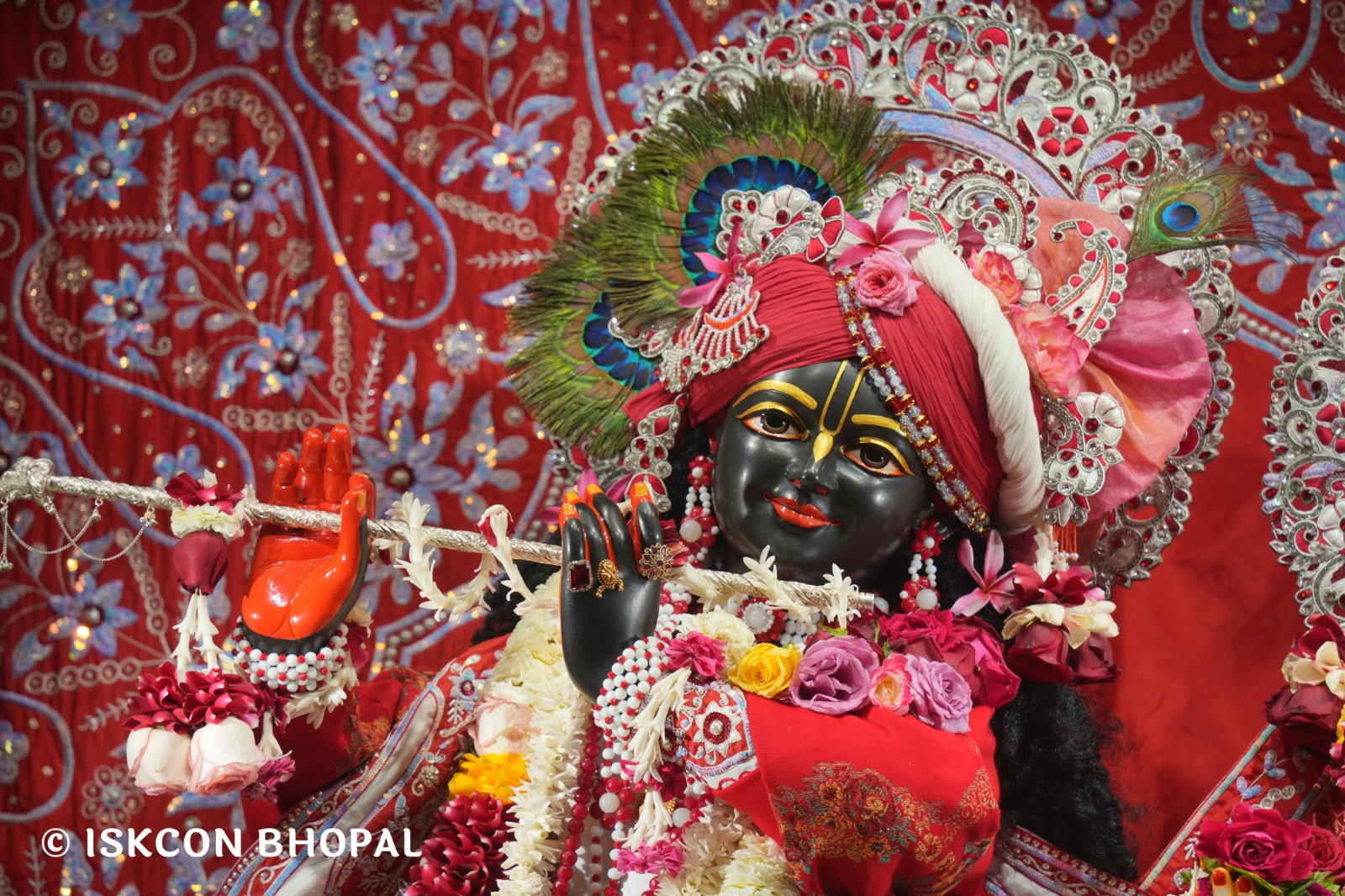 WhatsApp Image 2026-01-29 at 7.45.10 AM (1)